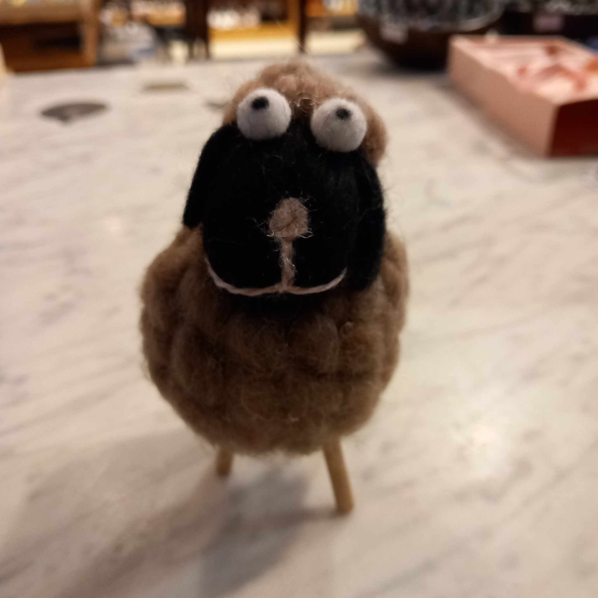 Woolly Sheep different colors Woolly Sheep different colors